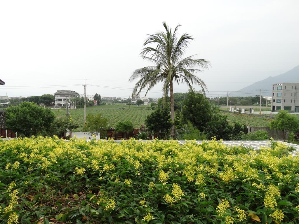花蓮 達芙妮花園民宿 Цзянь Экстерьер фото